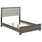 Wright 50-inch Upholstered Queen Bed Brown Oak