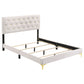 Kendall Upholstered Queen Panel Bed White